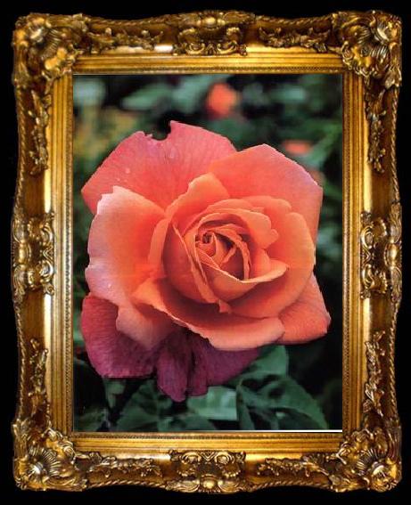 framed  unknow artist Still life floral, all kinds of reality flowers oil painting  206, ta009-2